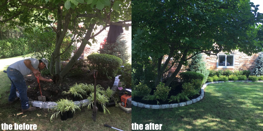 roslyn planting 2018 2