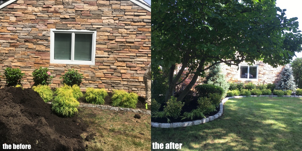 roslyn planting 2018 3