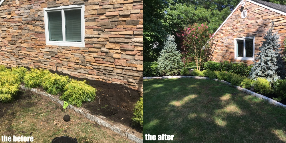 roslyn planting 2018