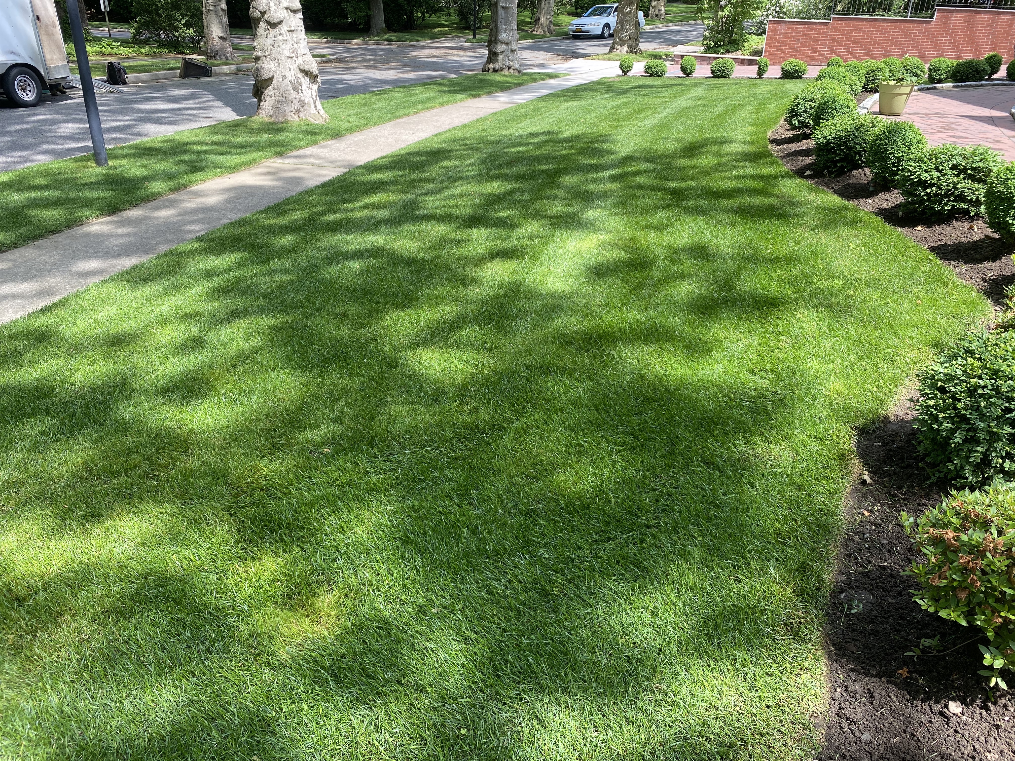 DM Landscaping Design Corp - Logo
